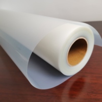 Film de Transparence pour Imprimante Jet d'Encre 17'' x 100' Papier Transparent pour Transparencies Overhead Feuilles Imprimables Transparentes pour Projet