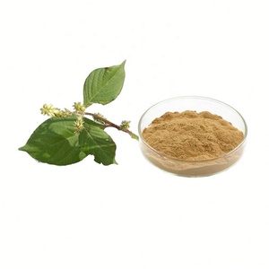 Natürliches Achyrantes <span class=keywords><strong>Aspera</strong></span> L Extrakt-Pulver 10:1 Achyrantes <span class=keywords><strong>Aspera</strong></span> P.E. - Product Image 1