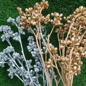 Semillas de <span class=keywords><strong>eucalipto</strong></span> PPS12, flores secas naturales de alta calidad, frutas para decoración del hogar, Color dorado y plateado para el Día de San Valentín, China - Product Image 5