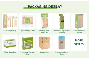 Scatola di imballaggio personalizzata 50 pz posate di bambù biodegradabili usa e getta 170mm di bambù forchetta e cucchiaio