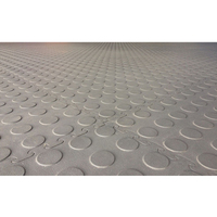 Losetas de PVC para Interiores de Calidad Superior, Fáciles de Limpiar, Buena Flexibilidad, Absorción de Sonido, para Piso de Garaje