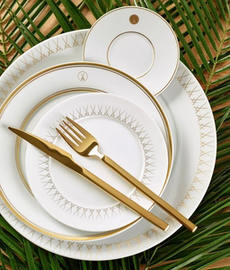Platos de cerámica para hoteles, vajilla blanca para restaurantes, servicios de catering, cocina doméstica y uso comercial en hostelería. - Product Image 3