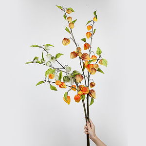Bất động cảm ứng PU Physalis trang trí nội thất mùa thu nhân tạo CAPE Gooseberry thân cây cho nhà dàn dựng đám cưới trung tâm ảnh đạo cụ - Product Image 5