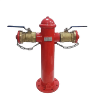 Haute qualité DN100/150 système de suppression des incendies au sol extérieur accessoire d'équipement de lutte contre les incendies en laiton Durable-bouche d'incendie