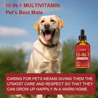 OEM Vente à Chaud Gouttes Liquide pour Animaux de Compagnie Vitamines Multi Vitamines 10-en-1 Mélange de Multivitamines Naturelles pour Chiens de Compagnie