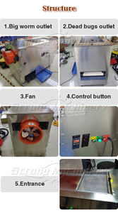 เครื่องแยกหนอนซุปเปอร์วอร์มอัตโนมัติประสิทธิภาพสูง เครื่องคัดแยกหนอนเหลือง ชิ้นส่วนแกนกลางมอเตอร์เกียร์ สแตนเลสสตีล เครื่องจักรแข็งแรง - Product Image 4