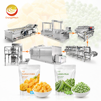 ORME Vriesvruchten- en groenteverwerkingslijn, machine voor het wassen en snijden van fruit en groenten voor inblikken