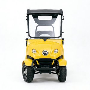 Scooter électrique 4 roues 60V800W pour adultes, <span class=keywords><strong>mini</strong></span> voiturette de club, loisirs, 2 places, chariot de golf - Product Image 5