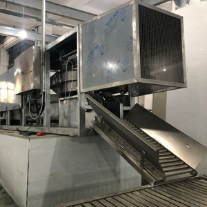 Equipo Automático para Línea <span class=keywords><strong>de</strong></span> Sacrificio <span class=keywords><strong>de</strong></span> Cerdos con Sistema Completo <span class=keywords><strong>de</strong></span> Escaldado, Desplumado y <span class=keywords><strong>Manipulación</strong></span> <span class=keywords><strong>de</strong></span> Carcasas - Product Image 2