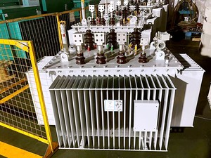 Transformateur de puissance 800 kVA 10 kV vers 400 V immergé dans l'huile, transformateur de distribution, transformateur moyenne et haute tension - Product Image 4