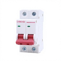 Disjoncteur miniature DC 500V 2P C32 pour boîtier de combinaison solaire photovoltaïque et système de batterie