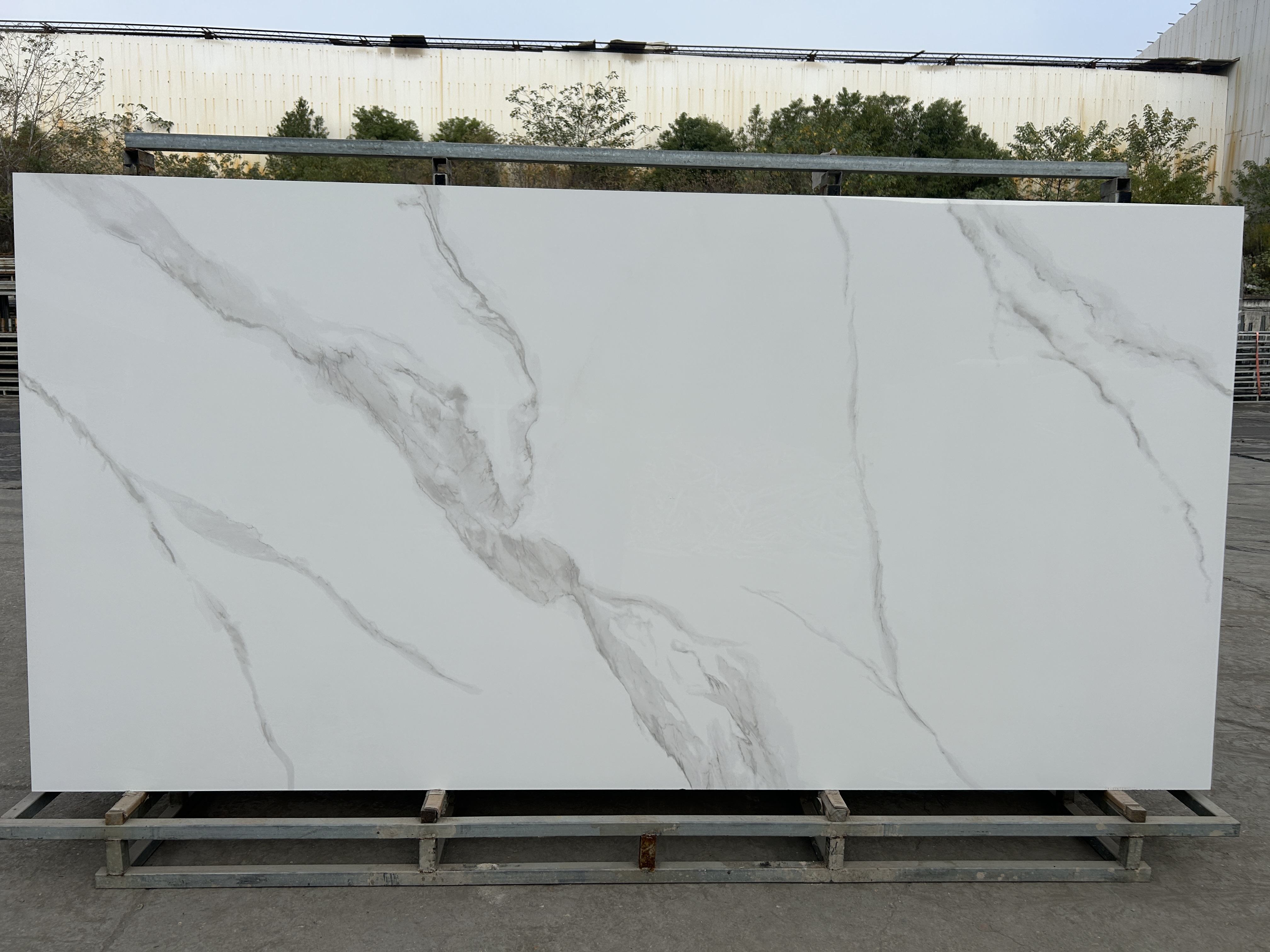 Royal Fish Vientre Blanco