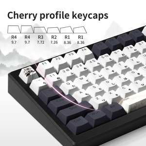 Xvx เกมพีซีโพรไฟล์เชอร์รี่ญี่ปุ่นส่องแสงผ่านการยิงสองด้านสีย้อม5-ชุดคีย์ PBT ซับ (กุญแจ133) - Product Image 4