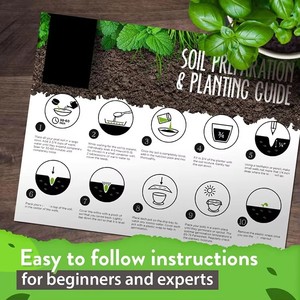 Kit de démarrage pour le jardinage à domicile, mini cuisine <span class=keywords><strong>bio</strong></span>, fenêtre, <span class=keywords><strong>jardin</strong></span> avec pots, fonction pot de fleur - Product Image 4