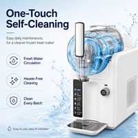 Machine à Granita Commerciale de Comptoir pour Fournisseur OEM, 1 Réservoir, pour Café Glacé et Jus, Idéale pour la Restauration