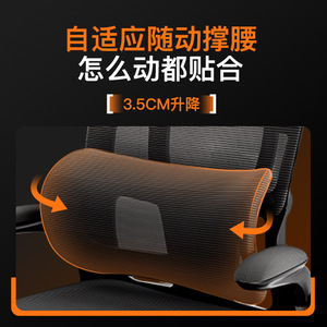 LingTuo Office Chair With Arched Legs Ergonomic Swivel Computer Chair For Home Office Use - Product Image 4