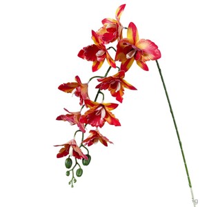 Fleurs artificielles Cattleya, arrangement d'orchidées en soie à 9 têtes, décoration de mariage et de maison, accessoires de photographie en plastique et tissu pour extérieur - Product Image 5