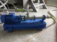 Pompe à vis simple en acier inoxydable 304 316L de qualité alimentaire - Haute viscosité pour le traitement de l'eau potable, le transfert de boues, de jus et de pulpe