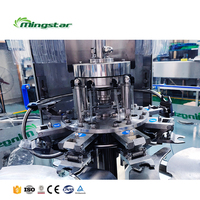 Machine de remplissage, de bouchage et d'étiquetage de bouteilles d'eau PET monobloc 3-en-1 pour usine à petite échelle – Coût
