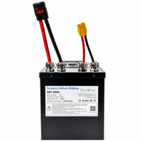 Baterai Lithium Kustom 60V 28Ah 1680Wh NMC Casing Logam untuk Sepeda Motor Listrik, Sepeda Komuter Perkotaan, Kendaraan Mobilitas Pribadi