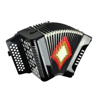 SEASOUND OEM Accordéon Diatonique Professionnel en Bois 31 Boutons 12 Basses Noir Portable pour Étudiant JB3112A
