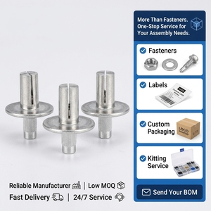 Nouveau <span class=keywords><strong>rivet</strong></span> américain à tête large entièrement en <span class=keywords><strong>aluminium</strong></span>, tête demi-ronde, <span class=keywords><strong>rivet</strong></span> d'expansion à tête fraisée 5mm 6.4mm - Product Image 2
