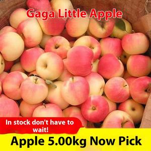 Shaanxi Gala <strong>Apple</strong> Fresh Fruit <strong>Candy</strong> Heart <strong>Red</strong> Fuji Sweet Taste Whole Box Wholesale with Postage Included - Product Image 2