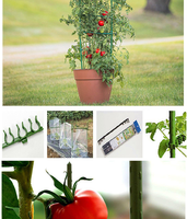Cages à tomates en plastique enduit, directement de l'usine, supports de plantes durables, treillis pour concombres, couleur verte, hauteur 8 pieds, utilisation hydroponique