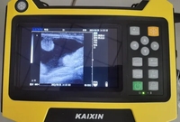 Mesin Pemindai USG Transrektal Probe B untuk Kehamilan Hewan Besar Sapi Kuda Domba Kaixin KX5600E