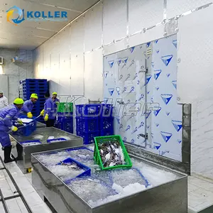 Koller Ice Maker Machine Seafood Preservation Flake Ice Making Machine 3tons 3000 Kg Fishery Ice Machine For Seafood Cooling