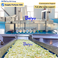 Baiyu industriële bloemkoolblancheringsmachine voor groenteverwerkingsfabrieken met continu blancheringssysteem