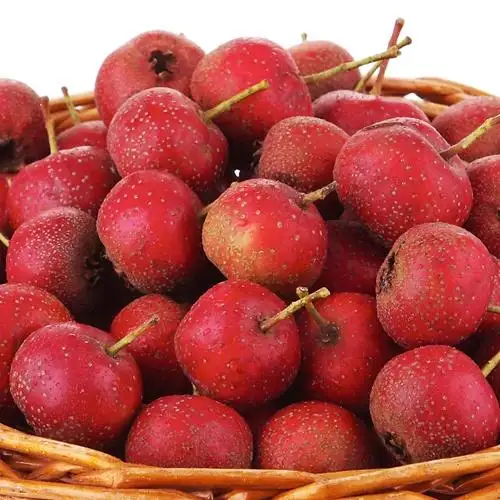 Tanaman baru produk buah Cina segar beku hawthorn paket udara berry warna rak berat jenis vakum Air bersih