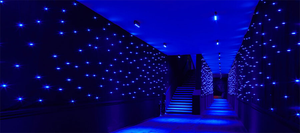 ม่านฉากหลังไฟ Led รูปดาว,สำหรับตกแต่งเวทีงานแต่งงานม่านไฟ LED แสงดาวสีฟ้าและสีขาว - Product Image 6