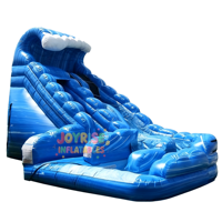 Glissière d'eau gonflable commerciale de PVC de double ruelle de vague bleue pour des enfants et des adultes d'intérieur/extérieur