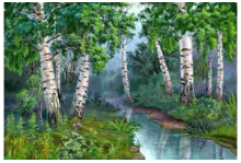 Numéro de modèle: HX50459