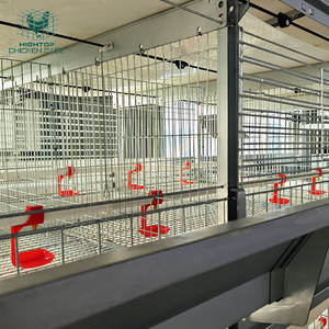 Hightop komple otomatik Pullets yetiştirme tavuk broş bebek civciv kafes kanatlı çiftlik <span class=keywords><strong>Coop</strong></span> için - Product Image 2