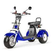 Triciclo Eléctrico 2026 de 4000W con Doble Motor, Neumáticos Anchos, Batería Extraíble, Tipo Citycoco, Motocicleta de 3 Ruedas