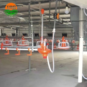 Equipo Moderno de Avicultura Totalmente Automático para la Cría de Pollos de Engorde, Gallinero/Casa de Pollos, Comederos Eficientes para Aves de Corral - Product Image 3