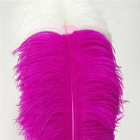 Plumes d'autruche vertes brutes, motif naturel, 60-65 cm, kit DIY pour fleurs, événements, décoration de table, carnaval et mariage