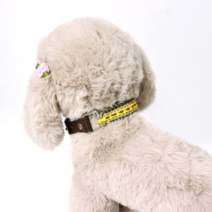 Handgemaakte Luxe Halsband Voor Kleine Grote Rassen Geel Paracord Gepersonaliseerde Kenmerken Lederen Materiaal Voor Het Trainen Van Huisdier Halsband - Product Image 6