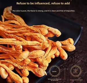 Op maat gemaakte verpakking 100% natuurlijke gehele gedroogde <span class=keywords><strong>Cordyceps</strong></span> Militaris Chong Cao Hua 500g vacuüm verpakt voor koken & thee - Product Image 3