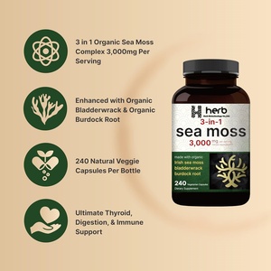 Tiên tiến rêu biển viên nang cây ngưu bàng gốc muira puama-Miễn dịch ruột năng lượng Superfood bổ sung vitamin nguyên rêu biển bột - Product Image 3