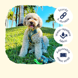 Luxury Polyester <b>Dog</b> <b>Harness</b> and Leash Set with Vest Adjustable <b>Custom</b> Design Personalized All Season OEM - Product Image 4