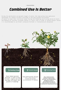 Jardin 0-10-10 0-20-30 15-09-12 23-23-00 28-0-0 16-4-8 Herbe Naturelle Organique Légumes <span class=keywords><strong>Engrais</strong></span> pour les Plantes - Product Image 3