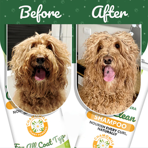 Shampoo pour chien et chat, extrait de plantes naturelles, sans parfum, sans alcool, répare le pelage endommagé, réduit la chute des poils, toilettage - Product Image 6
