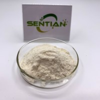 Enzyme Alpha-Amylase Thermostable de Qualité Industrielle pour une Dégénération de l'Amidon à Large Plage de Température, Améliorant la Productivité