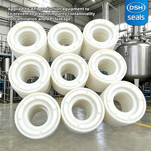 Anneau d'étanchéité <span class=keywords><strong>labyrinthe</strong></span> en PTFE haute précision pour centrifugeuse biopharmaceutique, équipement de traitement GMP pour bioréacteur et fermenteur - Product Image 4