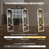 Espejo Arqueado de Cuerpo Entero con Luz, Espejo de Pie LED de Tamaño Personalizado con 3 Colores, Espejo de Pared para Dormitorio