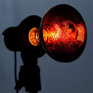 BONGBADA-Lámpara de calor de luz infrarroja roja, Bombilla de vidrio para servicio de alimentos, Base E26, PAR38/100-250 vatios