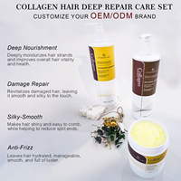 Sampo Minyak Argan Bebas Sulfat untuk Pertumbuhan Rambut, Sampo Anti Rambut Rontok dengan Keratin dan Biotin, Shea Butter, Label Pribadi Grosir
